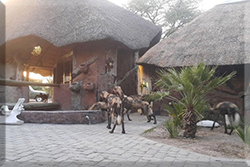 Elephant Sands