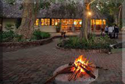 Island Safari Lodge