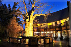 Mowana Lodge