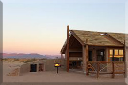 Desert Camp