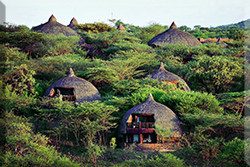 Serena Safari Lodge